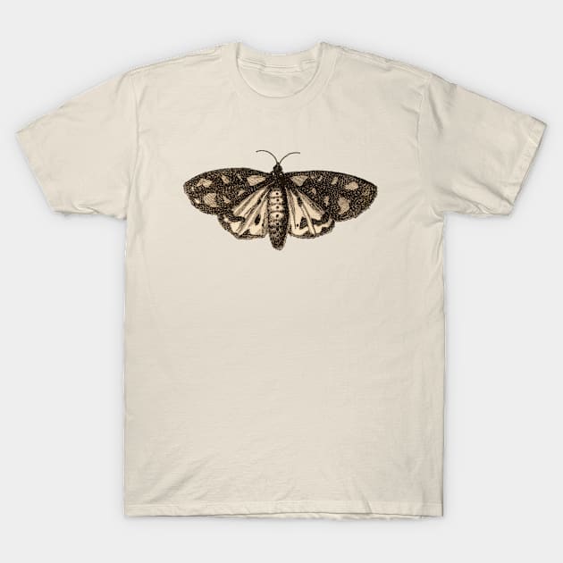 Vintage Illustration Butterfly T-Shirt by aimtrue